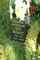 Memorial Image