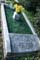 Memorial Image