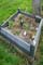 Memorial Image