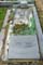 Memorial Image