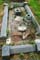 Memorial Image