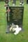 Memorial Image