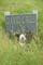 Memorial Image