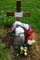 Memorial Image