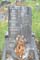 Memorial Image