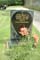 Memorial Image