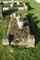 Memorial Image