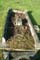 Memorial Image