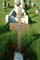 Memorial Image
