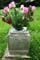 Memorial Image