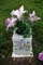 Memorial Image